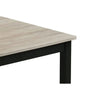 Traya 3-Piece Modern Coffee and End Table Set with Solid Wood Legs | Light Gray