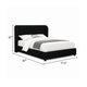 Inya Full Size Bed | Shelter Padded Headboard | Black Boucle Upholstery