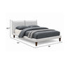 Veru King Size Bed | Light Gray Chenille Upholstery | Pillow Top Headboard
