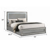 Cyl King Bed | LED Headboard | Scale Molding Trim in Silver | Metallic Gray