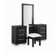Ashen 4pc Vanity Set w LED Mirror | Storage Stool w Foam Cushion | Black