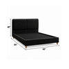 Tavo Full Bed | 2 Panel Foam Headboard | Metallic Black Boucle Upholstery