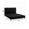 Tavo Queen Bed | 2 Panel Foam Headboard | Metallic Black Boucle Upholstery