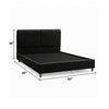 Tavo King Bed | 2 Panel Foam Headboard | Metallic Gray Boucle Upholstery