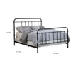 Transitional Styled Metal Queen Bed Bronze CCA-300399Q