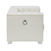 Impressively Styled Chair White By Casagear Home CCA-505393