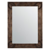 Bott Wall Mirror | Bronze Horse Shoes on Medium Brown Wood Frame | 30x40