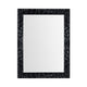Crestview Dila Wall Mirror | 36x48" Portrait Black Texture Frame
