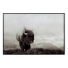 32 x 48 Wall Art Painting | Wild Bison Print | Black Framed Tempered Glass