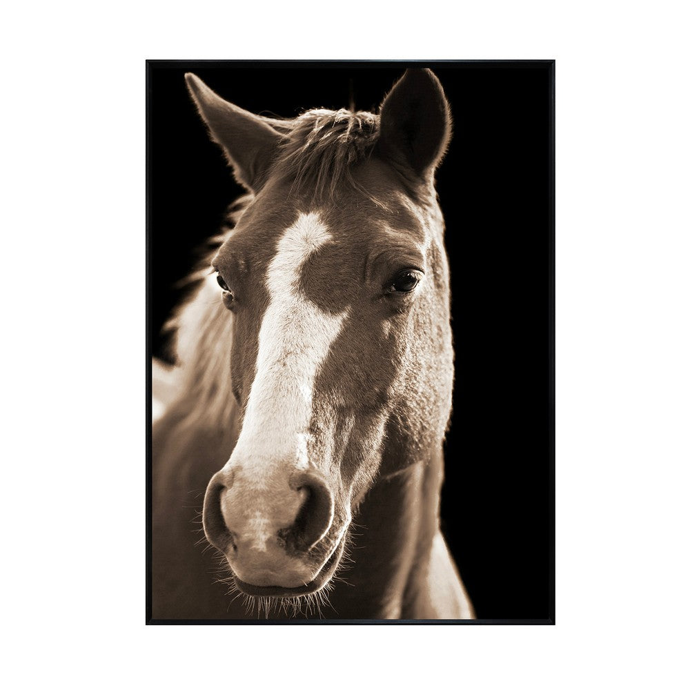Yete Wall Art Print | Close Up Horse Photograph on Glass | Black Frame 32x48