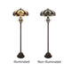 CH18780VI18-DF3 Antique Dark Bronze Floor Lamp