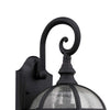 HAVANA DIVINE Transitional 1 Light Black Outdoor Wall Sconce 19’’ Height CHL-CH21611BK19-OD1