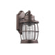 LUCAN Transitional 1 Light Rubbed Bronze Outdoor Wall Sconce 12" Height