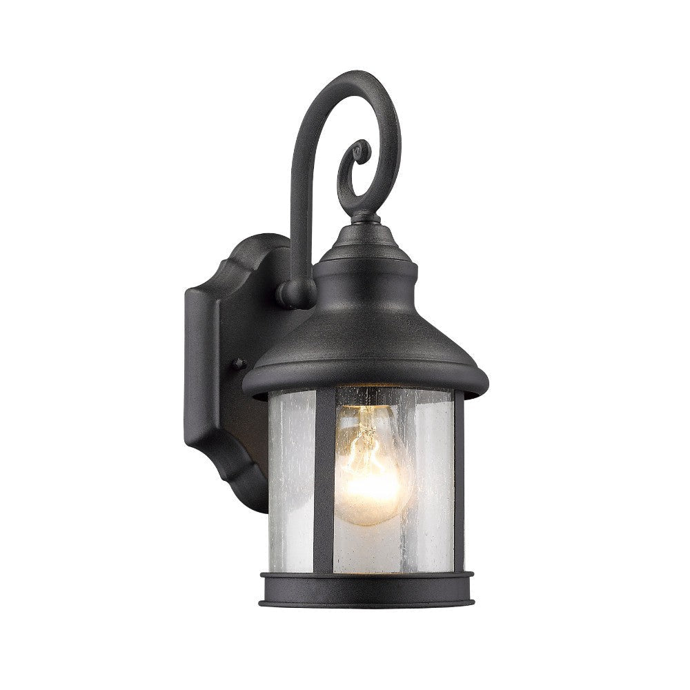 1 Bulb Metal Wall Light with Seedy Glass Shade, Black and Clear