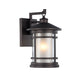 14 Inches 100 Watt Metal Wall Sconce with Etched Glass, Bronze