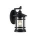 Transitional Style Wall Sconce with Clear Seeded Glass, Black