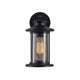 11 Inch Industrial Mesh Metal Wall Sconce with Clear Glass Shade Black CHL-CH22071BK11-OD1