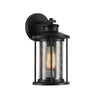 11 Inch Industrial Mesh Metal Wall Sconce with Clear Glass Shade, Black