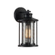 11 Inch Industrial Mesh Metal Wall Sconce with Clear Glass Shade, Black