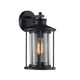 14 Inch Industrial Mesh Metal Wall Sconce with Clear Glass Shade, Black