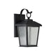 12 Inch Outdoor Wall Sconce with Clear Seeded Glass and LED Bulb Black CHL-CH22L68BK12-OD1
