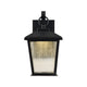 12 Inch Outdoor Wall Sconce with Clear Seeded Glass and LED Bulb Black CHL-CH22L68BK12-OD1