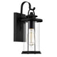 Chloe Lighting Ainsley Transitional 1 Light Textured Black Outdoor Wall Sconce 13’’ Height CHL-CH2D213BK13-OD1