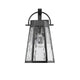 Lighting ALEXA Industrial 1 Light Textured Black Outdoor Wall Sconce 12’’ Tall CHL-CH2D294BK12-OD1