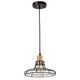 Gianna Transitional 1 Light Black And Burnished Brass Mini Pendant Ceiling Fixture 10’’ Wide CHL-CH2D804BB10-DP1
