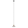 Gianna Transitional 1 Light Black And Burnished Brass Mini Pendant Ceiling Fixture 10’’ Wide CHL-CH2D804BB10-DP1