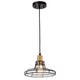 Gianna Transitional 1 Light Black And Burnished Brass Mini Pendant Ceiling Fixture 10" Wide