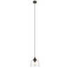 Transitional 1 Light 9’’ Mini Ceiling Pendant with Glass Downlight Bronze CHL-CH2S115RB09-DP1