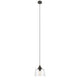 Transitional 1 Light 9’’ Mini Ceiling Pendant with Glass Downlight Bronze CHL-CH2S115RB09-DP1