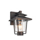 Lighting THOMAS Transitional 1 Light Rubbed Bronze Outdoor Wall Sconce 10" Height