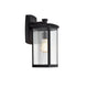 Chloe Lighting Evie Transitional 1 Light Textured Black Outdoor Wall Sconce 17" Height