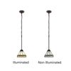 CH31315MI07-DP1 Blackish Bronze Pendant Light