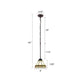 CH31315MI07-DP1 Blackish Bronze Pendant Light