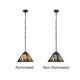 CH3T118AM08-DP1 Blackish Bronze Pendant Light