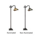 CH3T118AM12-RF1 Blackish Bronze Flush Mount