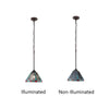 CH3T359BM06-DP1 Blackish Bronze Pendant Light