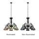 CH3T359BM27-DC5 Blackish Bronze Chandelier
