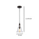 60 Watt Pendant Light with Metal Body and Glass Shade Bronze and Clear CHL-CH58040RB08-DP1
