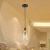 60 Watt Pendant Light with Metal Body and Glass Shade, Bronze and Clear