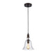 60 Watt Pendant Light with Metal Body and Glass Shade, Bronze and Clear