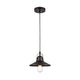 IRONCLAD Industrial-style 1 Light Rubbed Bronze Ceiling Mini Pendant 9" Shade