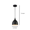 Industrial Style Metal Body Ceiling Pendant with One Light Black CHL-CH58070BK07-DP1