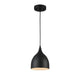 Industrial Style Metal Body Ceiling Pendant with One Light, Black