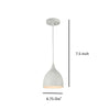 WALTER Industrial Matt White 1 Light Ceiling Pendant 7’’ Wide CHL-CH58070WH07-DP1