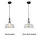CHLOE Lighting TILIAN Transitional 1 Light Matt Black Ceiling Pendant 12’’ Wide CHL-CH6S804BK12-DP1