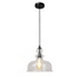 CHLOE Lighting TILIAN Transitional 1 Light Matt Black Ceiling Pendant 12" Wide